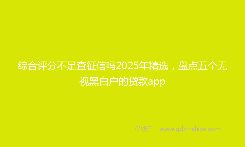 综合评分不足查征信吗2025年精选，盘点五个无视黑白户的贷款app