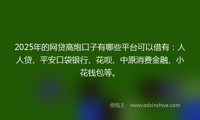 2025年的网贷高炮口子有哪些平台可以借有：人人贷、平安口袋银行、花呗、中原消费金融、小花钱包等。