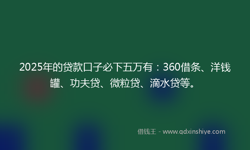 2025年的贷款口子必下五万有：360借条、洋钱罐、功夫贷、微粒贷、滴水贷等。