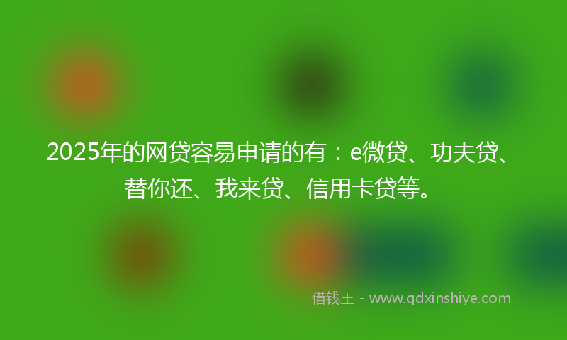 2025年的网贷容易申请的有：e微贷、功夫贷、替你还、我来贷、信用卡贷等。