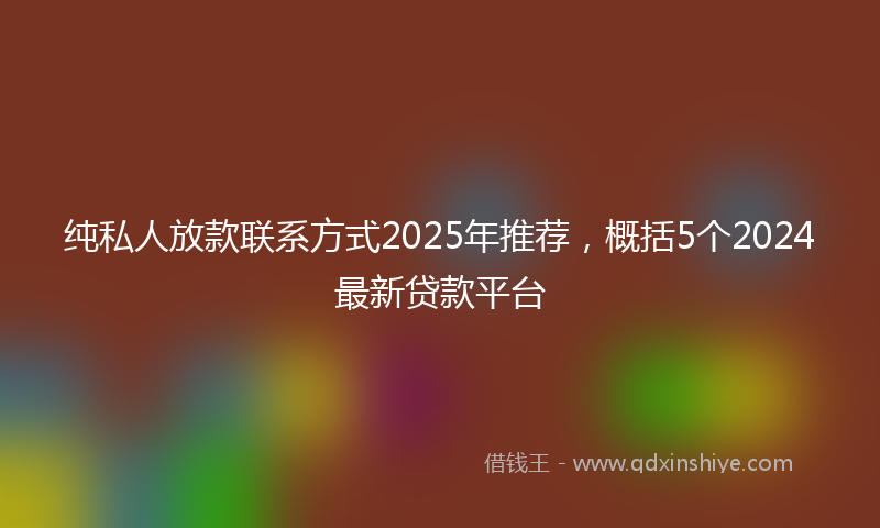 纯私人放款联系方式2025年推荐，概括5个2024最新贷款平台