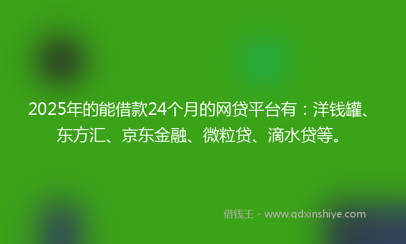 2025年的能借款24个月的网贷平台有：洋钱罐、东方汇、京东金融、微粒贷、滴水贷等。