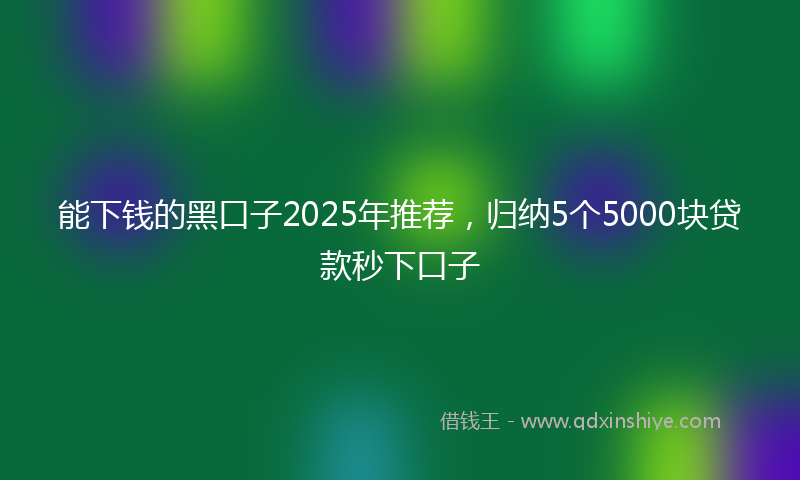 能下钱的黑口子2025年推荐，归纳5个5000块贷款秒下口子