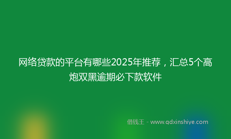 网络贷款的平台有哪些2025年推荐，汇总5个高炮双黑逾期必下款软件