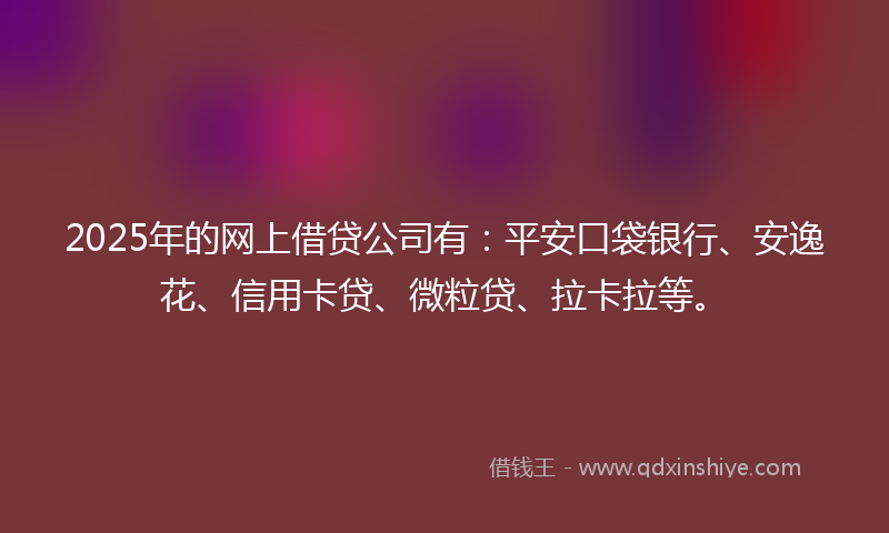 2025年的网上借贷公司有：平安口袋银行、安逸花、信用卡贷、微粒贷、拉卡拉等。