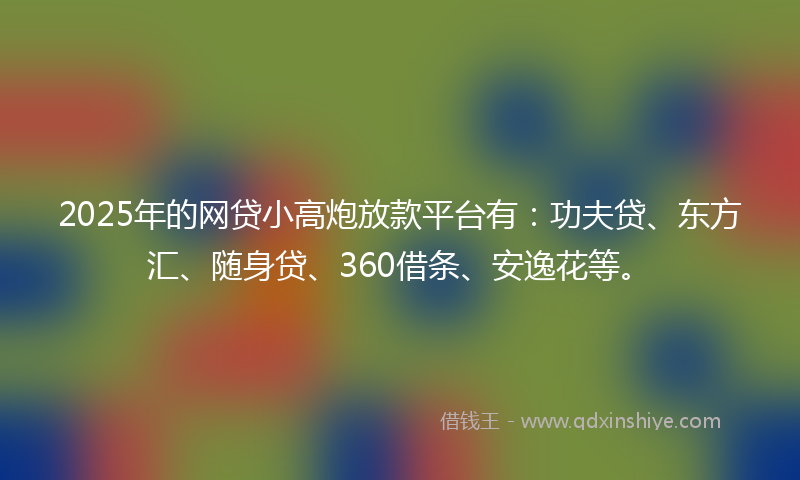 2025年的网贷小高炮放款平台有：功夫贷、东方汇、随身贷、360借条、安逸花等。