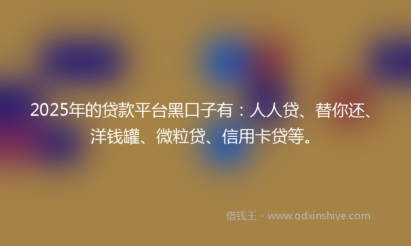 2025年的贷款平台黑口子有：人人贷、替你还、洋钱罐、微粒贷、信用卡贷等。