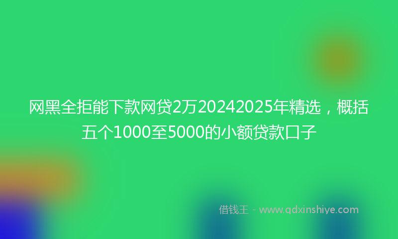 网黑全拒能下款网贷2万20242025年精选，概括五个1000至5000的小额贷款口子