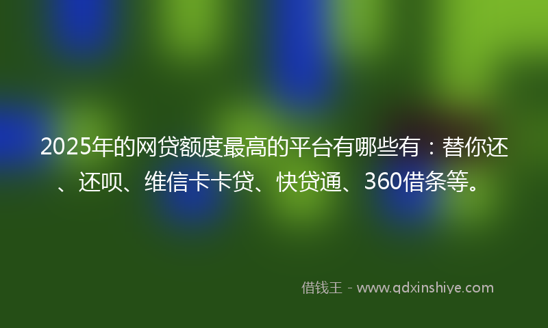 2025年的网贷额度最高的平台有哪些有：替你还、还呗、维信卡卡贷、快贷通、360借条等。