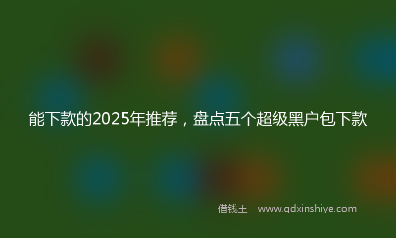 能下款的2025年推荐，盘点五个超级黑户包下款