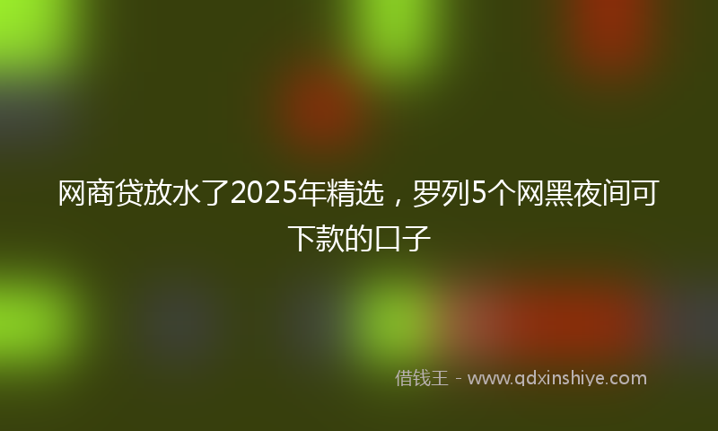 网商贷放水了2025年精选，罗列5个网黑夜间可下款的口子