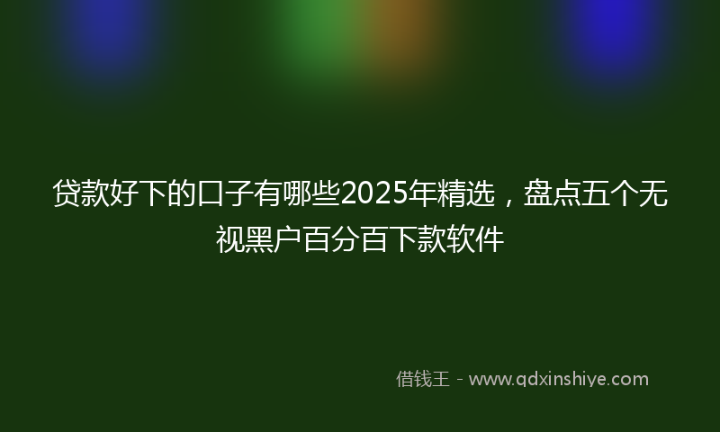 贷款好下的口子有哪些2025年精选，盘点五个无视黑户百分百下款软件