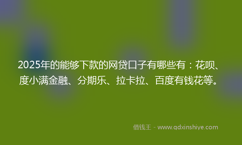 2025年的能够下款的网贷口子有哪些有：花呗、度小满金融、分期乐、拉卡拉、百度有钱花等。