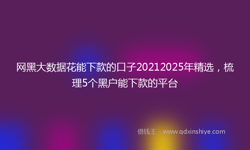 网黑大数据花能下款的口子20212025年精选，梳理5个黑户能下款的平台