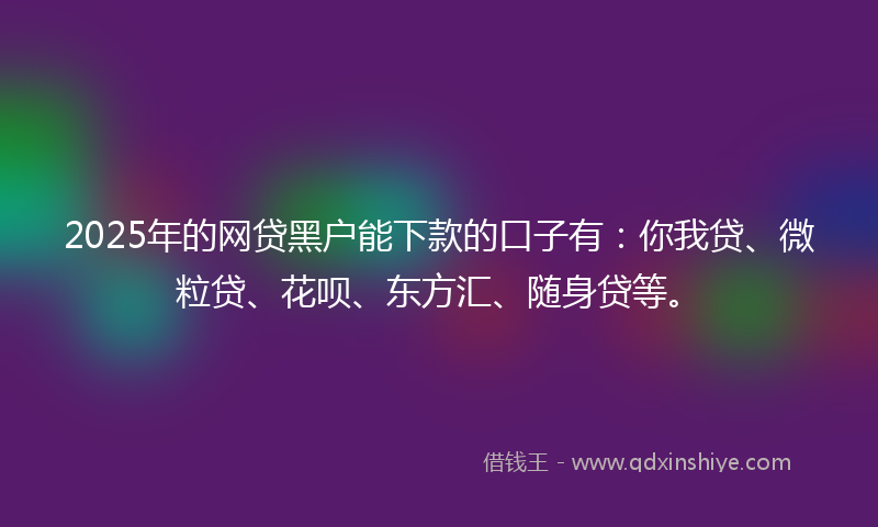 2025年的网贷黑户能下款的口子有：你我贷、微粒贷、花呗、东方汇、随身贷等。