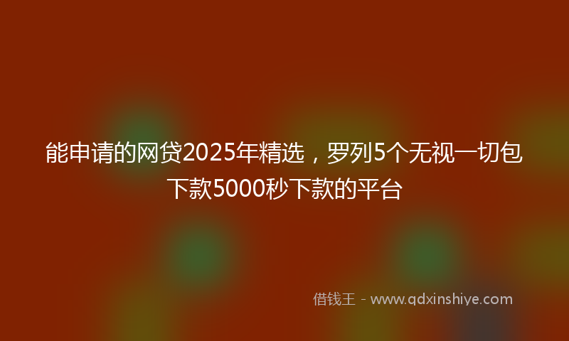 能申请的网贷2025年精选，罗列5个无视一切包下款5000秒下款的平台
