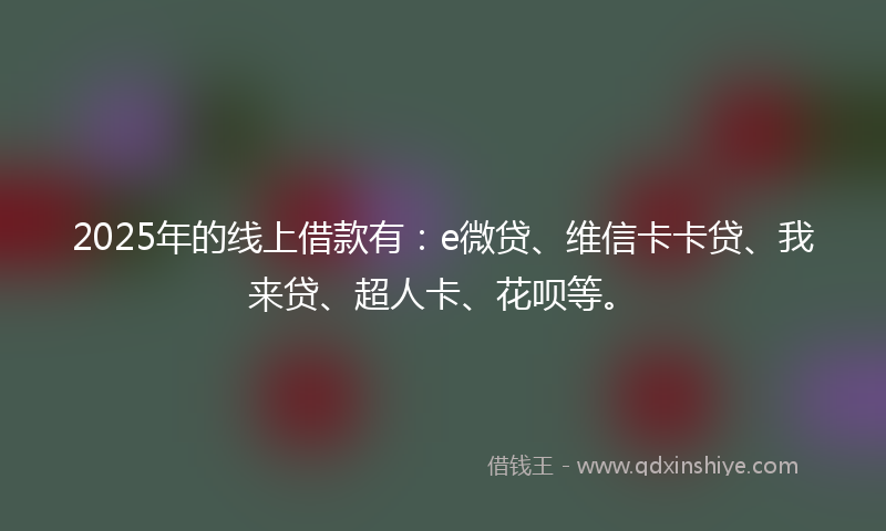 2025年的线上借款有：e微贷、维信卡卡贷、我来贷、超人卡、花呗等。