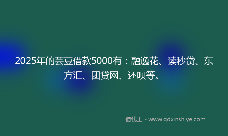 2025年的芸豆借款5000有：融逸花、读秒贷、东方汇、团贷网、还呗等。