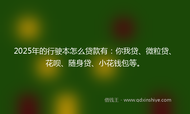 2025年的行驶本怎么贷款有：你我贷、微粒贷、花呗、随身贷、小花钱包等。