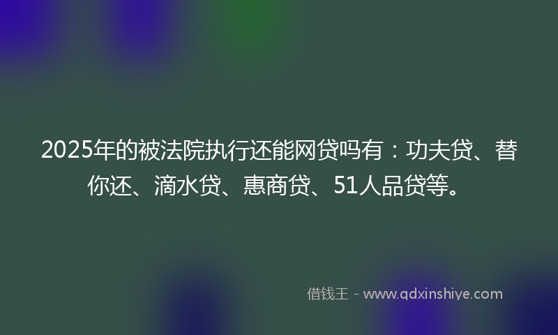 2025年的被法院执行还能网贷吗有：功夫贷、替你还、滴水贷、惠商贷、51人品贷等。