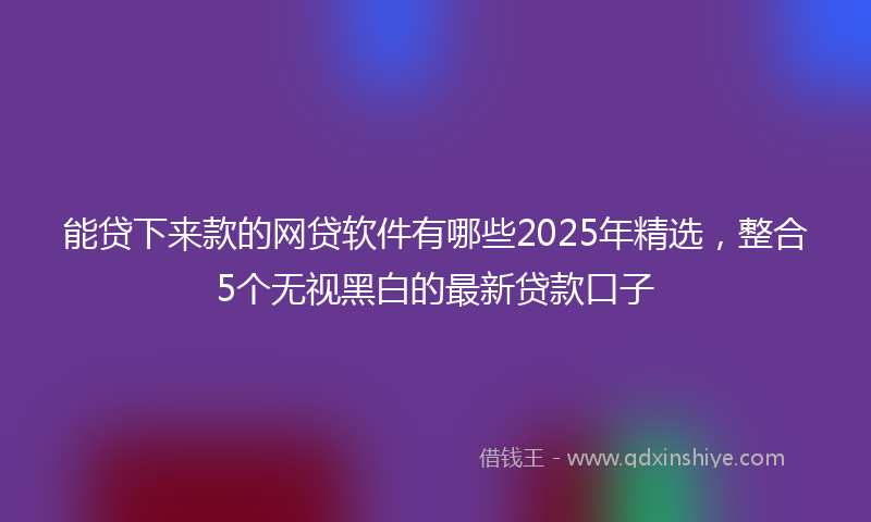 能贷下来款的网贷软件有哪些2025年精选，整合5个无视黑白的最新贷款口子