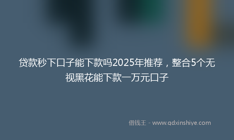 贷款秒下口子能下款吗2025年推荐，整合5个无视黑花能下款一万元口子