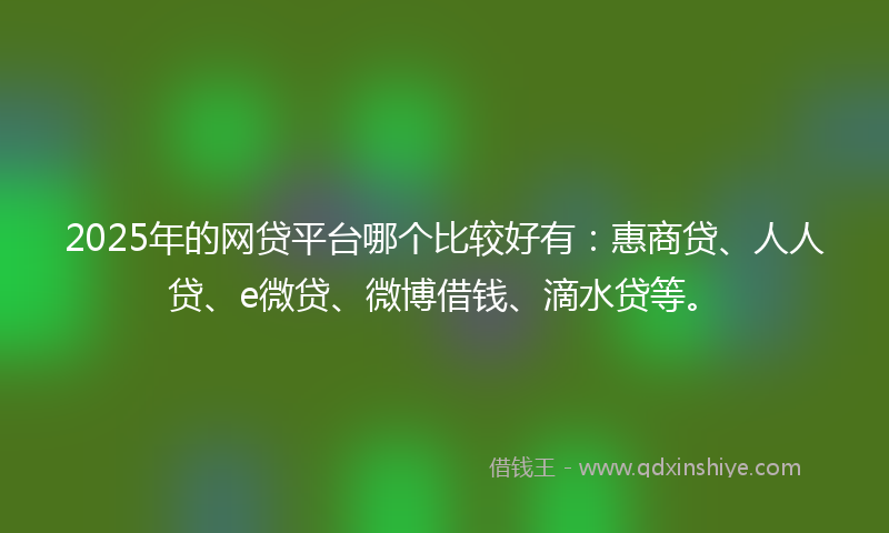 2025年的网贷平台哪个比较好有：惠商贷、人人贷、e微贷、微博借钱、滴水贷等。