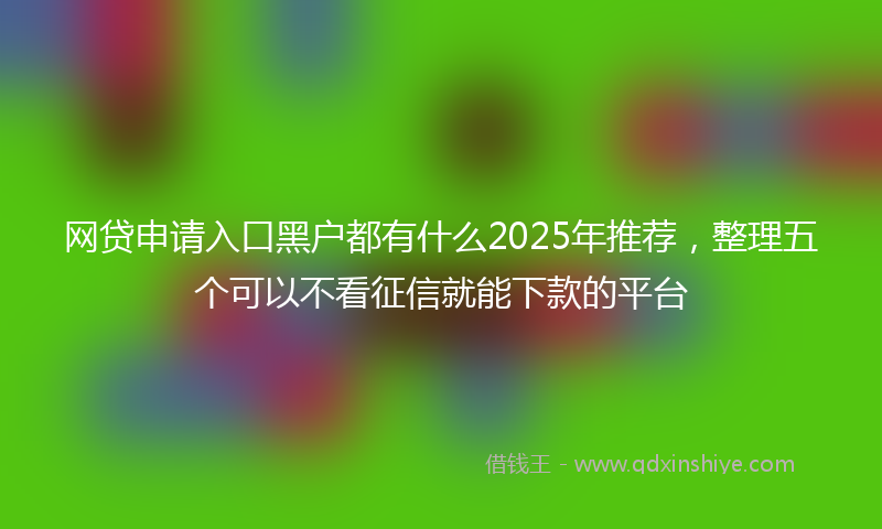 网贷申请入口黑户都有什么2025年推荐，整理五个可以不看征信就能下款的平台
