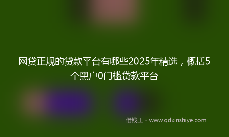 网贷正规的贷款平台有哪些2025年精选，概括5个黑户0门槛贷款平台