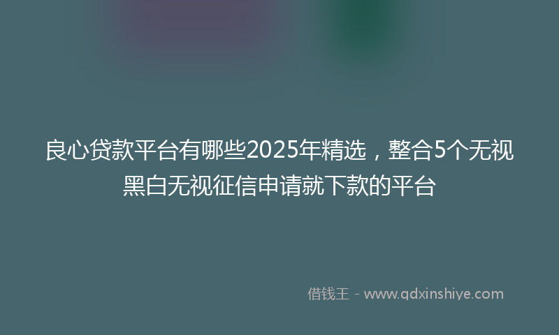 良心贷款平台有哪些2025年精选，整合5个无视黑白无视征信申请就下款的平台