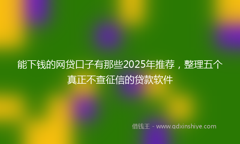 能下钱的网贷口子有那些2025年推荐，整理五个真正不查征信的贷款软件