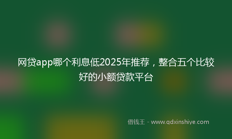 网贷app哪个利息低2025年推荐，整合五个比较好的小额贷款平台