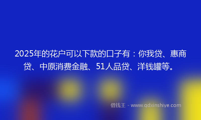 2025年的花户可以下款的口子有：你我贷、惠商贷、中原消费金融、51人品贷、洋钱罐等。
