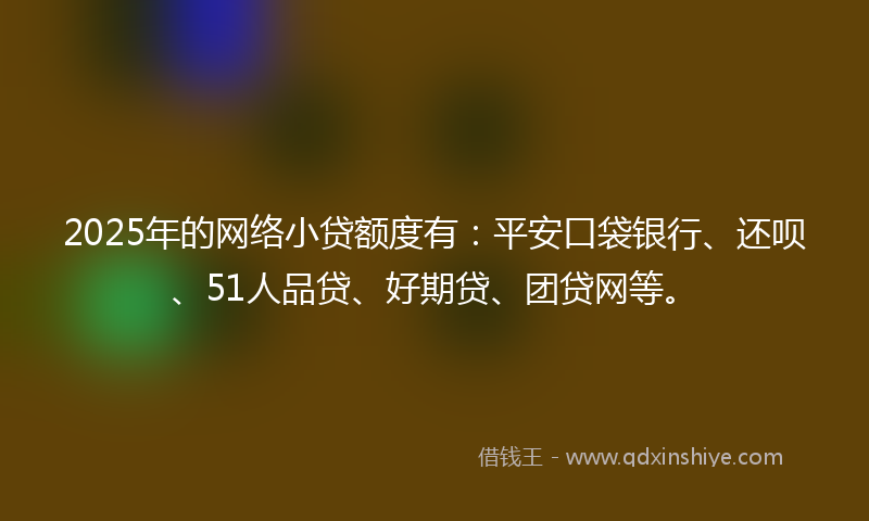 2025年的网络小贷额度有：平安口袋银行、还呗、51人品贷、好期贷、团贷网等。
