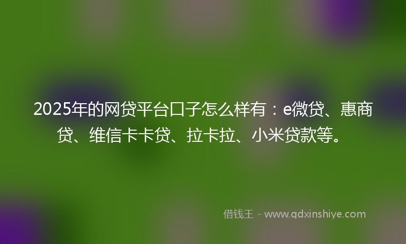 2025年的网贷平台口子怎么样有：e微贷、惠商贷、维信卡卡贷、拉卡拉、小米贷款等。