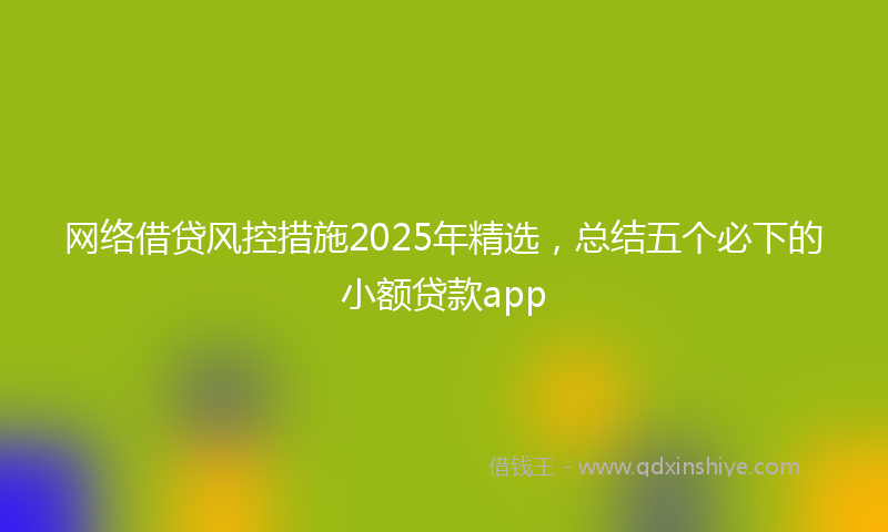 网络借贷风控措施2025年精选，总结五个必下的小额贷款app