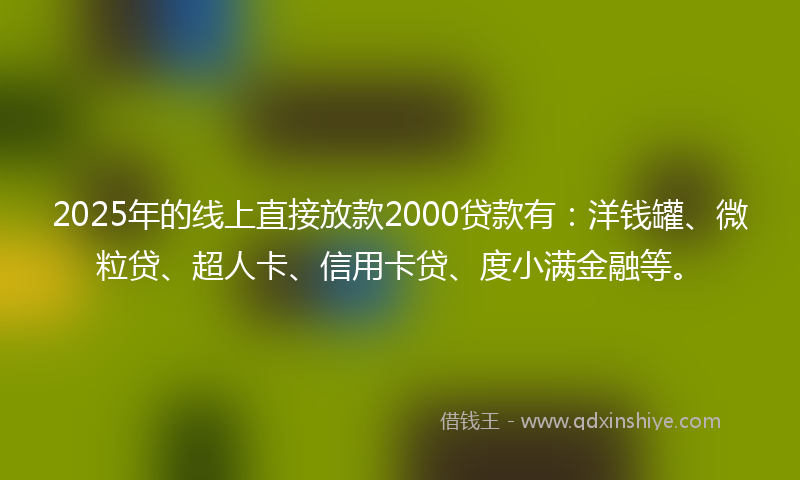 2025年的线上直接放款2000贷款有：洋钱罐、微粒贷、超人卡、信用卡贷、度小满金融等。