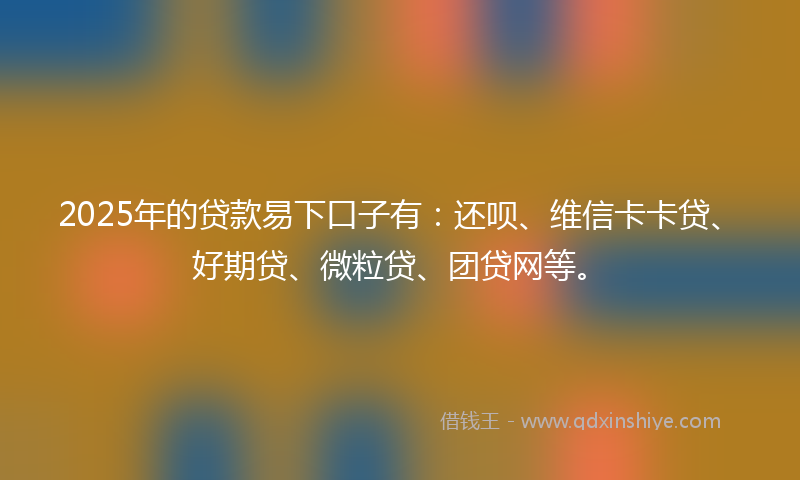 2025年的贷款易下口子有：还呗、维信卡卡贷、好期贷、微粒贷、团贷网等。