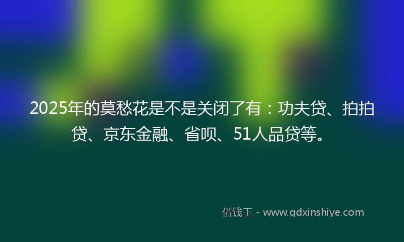 2025年的莫愁花是不是关闭了有：功夫贷、拍拍贷、京东金融、省呗、51人品贷等。