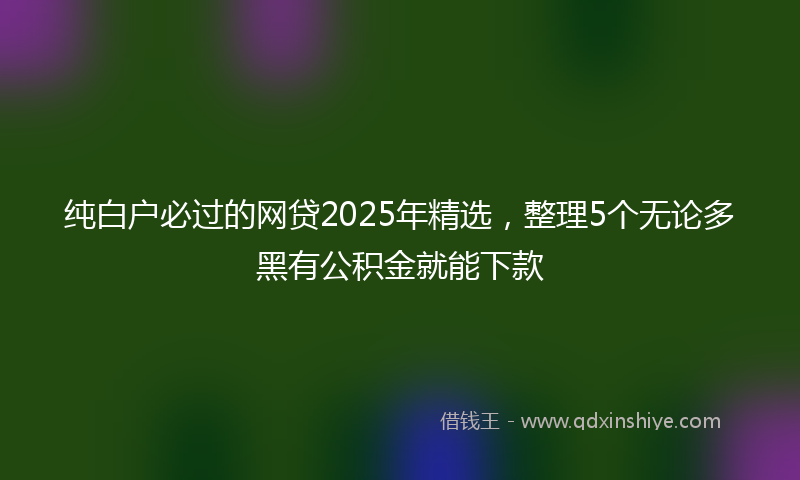 纯白户必过的网贷2025年精选，整理5个无论多黑有公积金就能下款