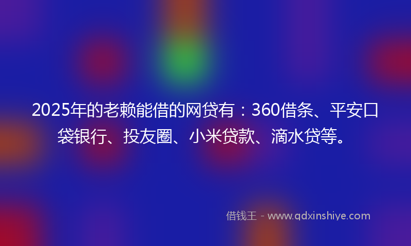 2025年的老赖能借的网贷有：360借条、平安口袋银行、投友圈、小米贷款、滴水贷等。