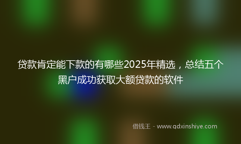 贷款肯定能下款的有哪些2025年精选，总结五个黑户成功获取大额贷款的软件