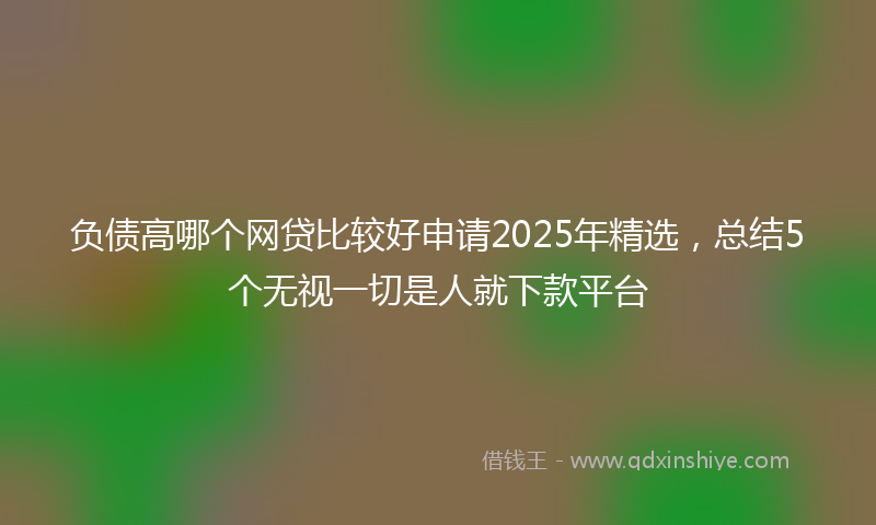 负债高哪个网贷比较好申请2025年精选，总结5个无视一切是人就下款平台