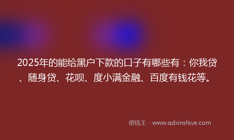 2025年的能给黑户下款的口子有哪些有：你我贷、随身贷、花呗、度小满金融、百度有钱花等。