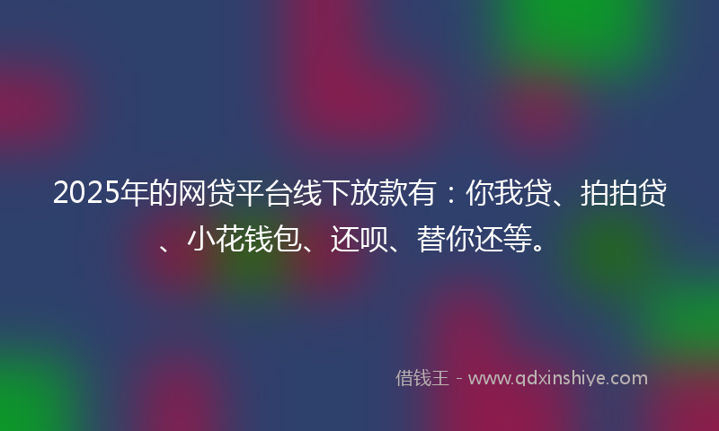 2025年的网贷平台线下放款有：你我贷、拍拍贷、小花钱包、还呗、替你还等。