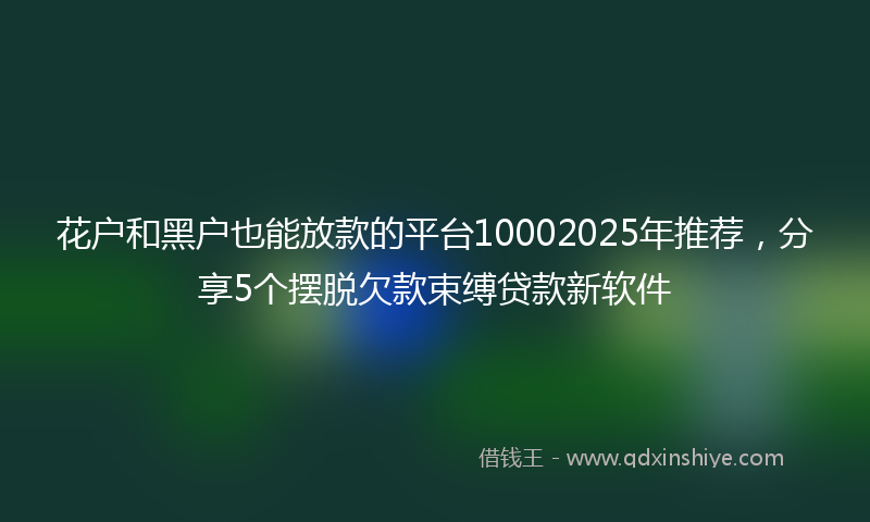 花户和黑户也能放款的平台10002025年推荐，分享5个摆脱欠款束缚贷款新软件