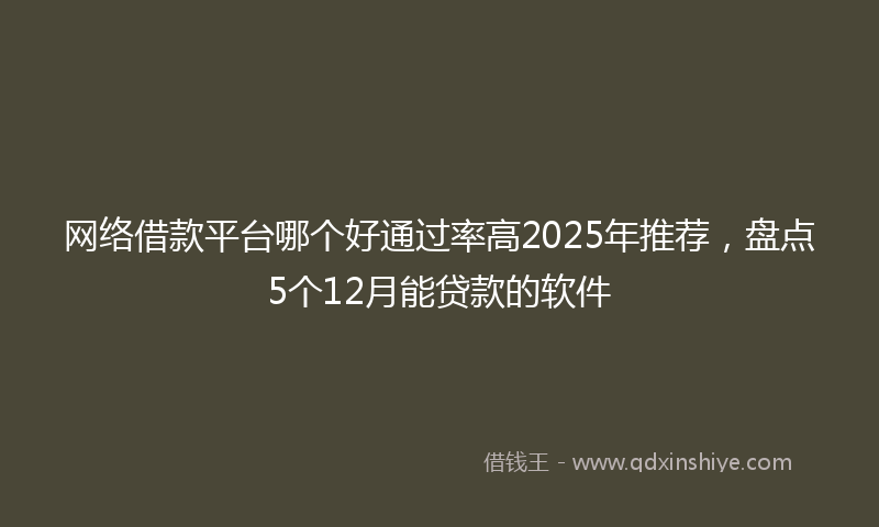 网络借款平台哪个好通过率高2025年推荐，盘点5个12月能贷款的软件