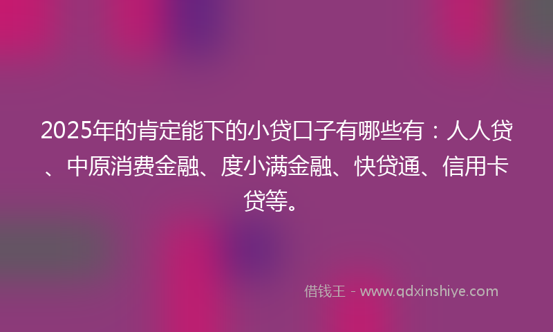 2025年的肯定能下的小贷口子有哪些有：人人贷、中原消费金融、度小满金融、快贷通、信用卡贷等。