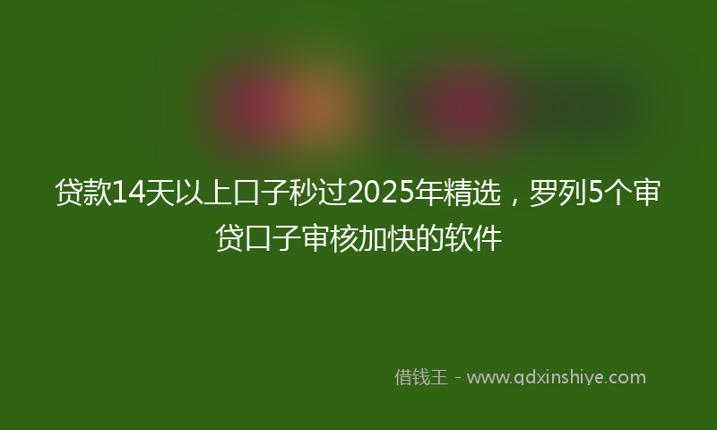贷款14天以上口子秒过2025年精选，罗列5个审贷口子审核加快的软件