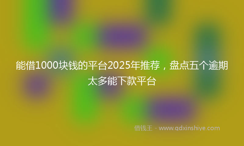 能借1000块钱的平台2025年推荐，盘点五个逾期太多能下款平台